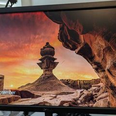 Dell Monitor P2212H - very nice picture, VGA cable included