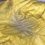 EA7 Armani Large Windbreaker Image 6