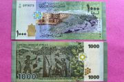 Syria 1000 Pounds  2013. Pick 116a. ( Uncirculated )