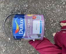 dulux paint