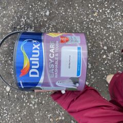 dulux paint