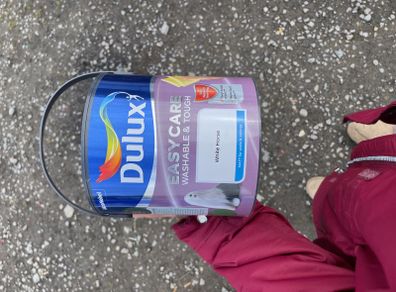 dulux paint