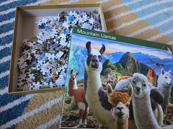 Mountain llamas puzzle