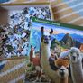 Mountain llamas puzzle Image 2