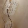Wedding Dress Image 6