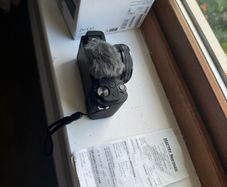 Sony Zv-e10