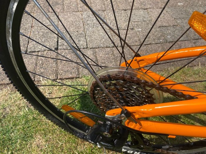 Frog Bike