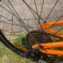 Frog Bike Image 7