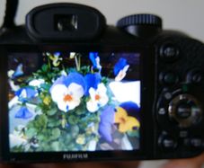 Fujifilm FinePix S Series S1730 12.2MP Digital Camera , 8Gb SD Card - Black Tested Working.