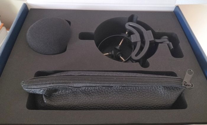 Subzero DB30 studio mic
