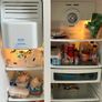 Daewoo Fridge Freezer Image 3