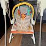 Fisherprice 2in1 Swing / Bouncer Image 2
