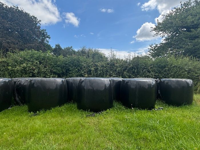 45 bales of silage