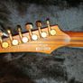 Ibanez Rgt1220pb-abs Image 9