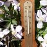 Vintage Motiv Barometer Image 3