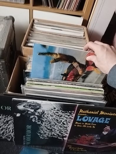 Bit of vinyl +rest of list
