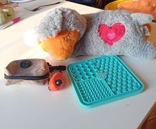 puppy start kit with heartbeat teddy