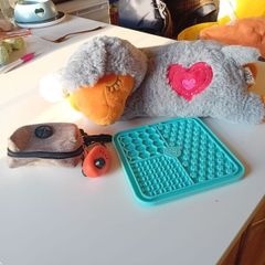 puppy start kit with heartbeat teddy