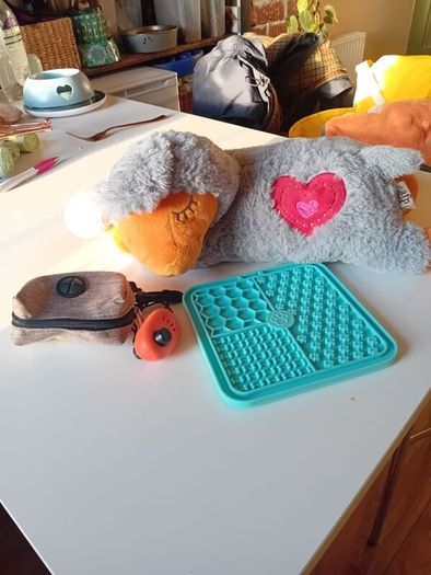 puppy start kit with heartbeat teddy
