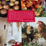 Darina Allen cookery book Image 2