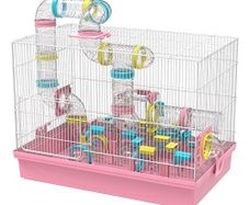 Cage for dwarf hamster