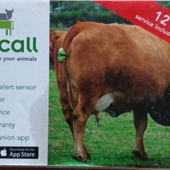 Calving sensor