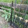 Wrought iron Gate Image 2