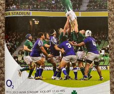 2013 Ireland v Samoa - November International Programme
