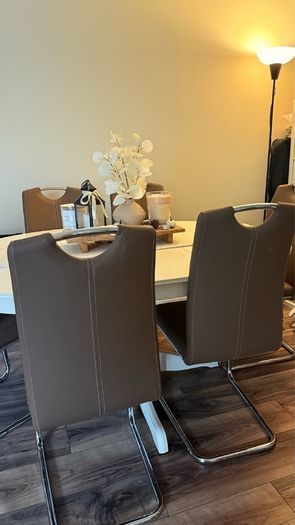 6 dining chairs