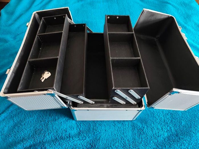 Professional beauty case