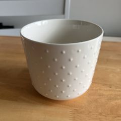 Plant pot