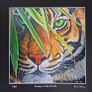 Hidden in the Leaves | FineArt Print | Framed Image 7