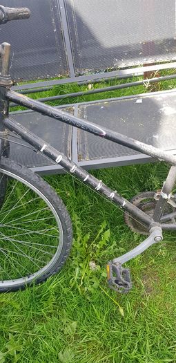 Bikes