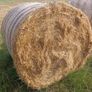 hay bales Image 2