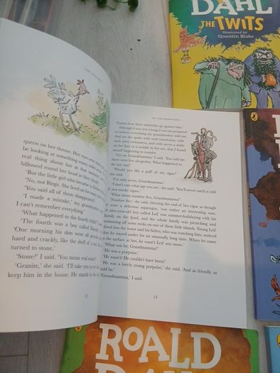 Roald Dahl large coloured illustrated book set