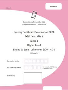 Junior/Leaving cert maths grinds