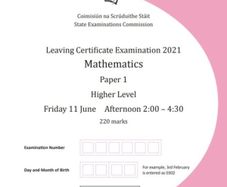 Junior/Leaving cert maths grinds