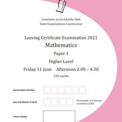 Junior/Leaving cert maths grinds