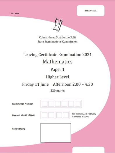 Junior/Leaving cert maths grinds