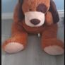 BARGAIN  Floppy Dog Soft toy Image 2