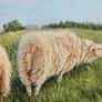 Original Oil Painting  - Curious Lamb Image 5
