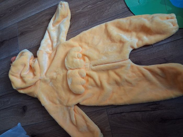 Duck costume