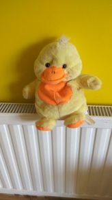 duck with sound makes qua qua when u push her belly