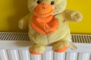 duck with sound makes qua qua when u push her belly