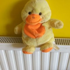 duck with sound makes qua qua when u push her belly