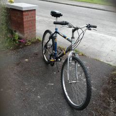 gents bike