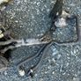 audi a6 c7 2.0tdi front panel 2011-2017 Image 2