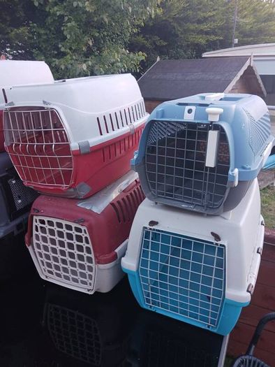 cat and dog carry cages