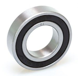 6007 2rs Bearing