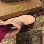 Genuine UGG Boots size EU-40, UK-7 Image 6